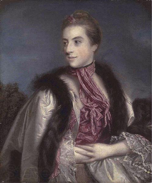 Sir Joshua Reynolds Elizabeth Drax Germany oil painting art